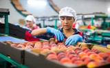 Những quốc gia nào người dân có thể sống sót nếu xảy ra chiến tranh hạt nhân?