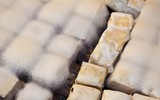 10 món ăn trứ danh 'đệ nhất thối' trên thế giới