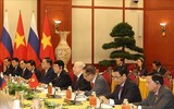 Tổng Bí thư Nguyễn Phú Trọng hội đàm với Tổng thống Liên bang Nga Vladimir Putin