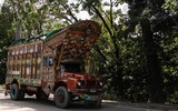 Những phương tiện giao thông kỳ lạ nhất trên thế giới