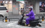 Hồng Kông: Gió giật tới 234km/h, hàng chục người bị thương trong bão Wipha