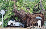 Hồng Kông: Gió giật tới 234km/h, hàng chục người bị thương trong bão Wipha