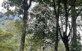 Hành trình chinh phục Nam Kang Ho Tao - một trong những cung leo núi khó nhất Việt Nam