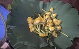 Đi qua mùa sen Hồ Tây - ướp trà sen kiểu Hà Nội xưa 