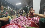 Đi qua mùa sen Hồ Tây - ướp trà sen kiểu Hà Nội xưa 