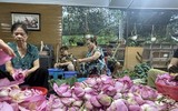 Đi qua mùa sen Hồ Tây - ướp trà sen kiểu Hà Nội xưa 
