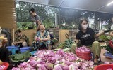 Đi qua mùa sen Hồ Tây - ướp trà sen kiểu Hà Nội xưa 