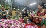Đi qua mùa sen Hồ Tây - ướp trà sen kiểu Hà Nội xưa 