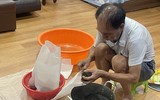 Đi qua mùa sen Hồ Tây - ướp trà sen kiểu Hà Nội xưa 