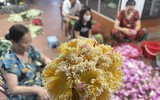 Đi qua mùa sen Hồ Tây - ướp trà sen kiểu Hà Nội xưa 