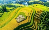 Khám phá Mù Cang Chải mùa lúa chín từ máy bay trực thăng