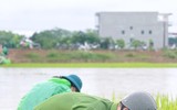Chiến sỹ Công an Hà Nội ngâm nước giúp người dân cứu lúa