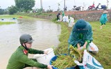 Chiến sỹ Công an Hà Nội ngâm nước giúp người dân cứu lúa