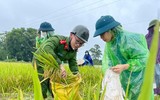 Chiến sỹ Công an Hà Nội ngâm nước giúp người dân cứu lúa