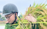 Chiến sỹ Công an Hà Nội ngâm nước giúp người dân cứu lúa