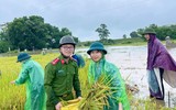 Chiến sỹ Công an Hà Nội ngâm nước giúp người dân cứu lúa