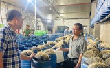 Những hình ảnh bên trong cơ sở sản xuất giá đỗ bằng hóa chất độc hại