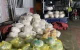 Những hình ảnh bên trong cơ sở sản xuất giá đỗ bằng hóa chất độc hại