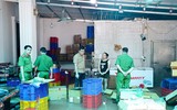 Cận cảnh kho xưởng “hô biến” hàng nghìn tấn thịt trâu Ấn Độ thành thịt trâu gác bếp Hà Giang