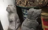 Hàng trăm cổ vật trộm cắp được ngụy trang trong căn nhà buôn gỗ cũ