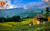 Lên Y Tý xem đồng bào giã đất làm nhà