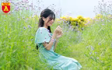 Thiếu nữ Hà Nội đẹp dịu dàng bên cánh đồng hoa oải hương thảo