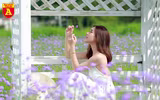 Thiếu nữ Hà Nội đẹp dịu dàng bên cánh đồng hoa oải hương thảo