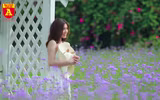 Thiếu nữ Hà Nội đẹp dịu dàng bên cánh đồng hoa oải hương thảo