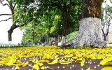 Mùa thu trên những con phố ở Hà Nội