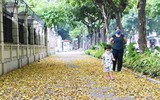 Mùa thu trên những con phố ở Hà Nội