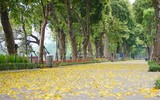 Mùa thu trên những con phố ở Hà Nội