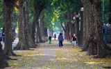 Mùa thu trên những con phố ở Hà Nội