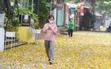 Mùa thu trên những con phố ở Hà Nội