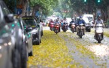 Mùa thu trên những con phố ở Hà Nội