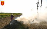 Khói rơm rạ bủa vây người tham gia giao thông tại Hà Nội