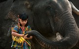 Mê mẩn với các tác phẩm nghệ thuật đạt giải “Explore Vietnam - Khám phá Việt Nam