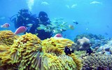 Mê mẩn với các tác phẩm nghệ thuật đạt giải “Explore Vietnam - Khám phá Việt Nam