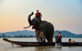 Mê mẩn với các tác phẩm nghệ thuật đạt giải “Explore Vietnam - Khám phá Việt Nam