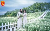 Giới trẻ Hà Nội đua nhau chụp ảnh với cúc họa mi đầu mùa
