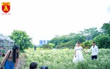 Giới trẻ Hà Nội đua nhau chụp ảnh với cúc họa mi đầu mùa