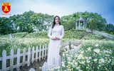 Giới trẻ Hà Nội đua nhau chụp ảnh với cúc họa mi đầu mùa