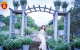 Giới trẻ Hà Nội đua nhau chụp ảnh với cúc họa mi đầu mùa