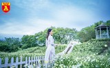 Giới trẻ Hà Nội đua nhau chụp ảnh với cúc họa mi đầu mùa