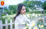 Giới trẻ Hà Nội đua nhau chụp ảnh với cúc họa mi đầu mùa