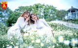 Giới trẻ Hà Nội đua nhau chụp ảnh với cúc họa mi đầu mùa