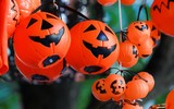 Halloween nhiều sắc màu của giới trẻ Hà Thành