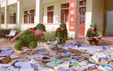 Mệnh lệnh từ trái tim 