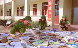 Mệnh lệnh từ trái tim 