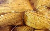 Độc đáo nghề nuôi tằm, ươm tơ