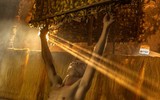 Độc đáo nghề nuôi tằm, ươm tơ
